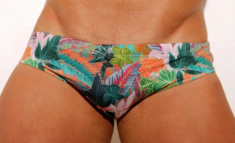 Sunga de Praia Estampada. Vou Mostrar tendências Verão/2023 1 Sunga de Praia Estampada. Vou Mostrar tendências Verão/2023 1